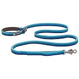 Ruffwear, Roamer Bungee-Hundeleine zum Laufen, Radfahren oder Wandern, kann mit der Hand oder ohne Hände verwendet Werden, Blue Atoll, 7.3-11ft