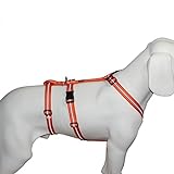 Hoffmann Das Original - NoExit Hundegeschirr ® - 100% ausbruchsicher für Angsthunde, Sicherheitsgeschirr für Pflegehunde, Panikgeschirr, Reflexband orange, Bauchumfang 55-75 cm, 20 mm Bandbreite