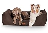 Knuffelwuff Hundebett Dreamline aus Velours XL 105 x 75cm Braun - abnehmbarer Bezug - leicht zu reinigen - für große, mittelgroße und kleine Hunde