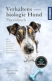 Verhaltensbiologie Hund - Praxisbuch: Wie Rasse, Geschlecht, Aussehen und Alter das Verhalten beeinflussen