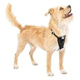 Kurgo Tru-Fit Hundegeschirr, Crash-Test-erprobtes Auto-Sicherheitsgurt, Für Hunde von 2 bis 5 kg, Größe S, Schwarz