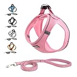 Suredoo Hundegeschirr mit Leine Anti Zug Geschirr Reflektierend Brustgeschirr für Kleine Hunde, Haustiere, Welpen, Katzen (XS, Pink)