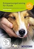 Entspannungstraining für Hunde: Stress, Ängste und Verhaltensprobleme reduzieren