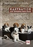 Kastration und Verhalten beim Hund