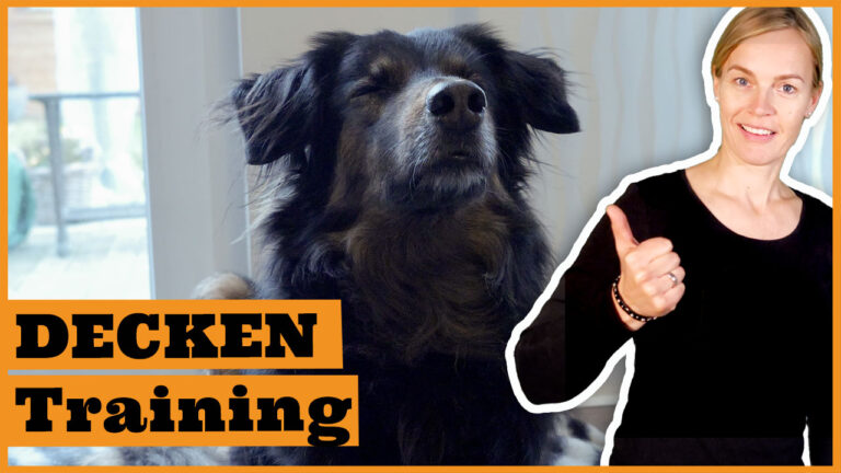 Hundetraining Kostenlose Trainingsvideos einfach erklärt Seite 16