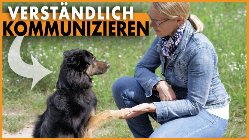 Kommunikation Hund I Erfolgreich Mit Dem Hund Kommunizieren